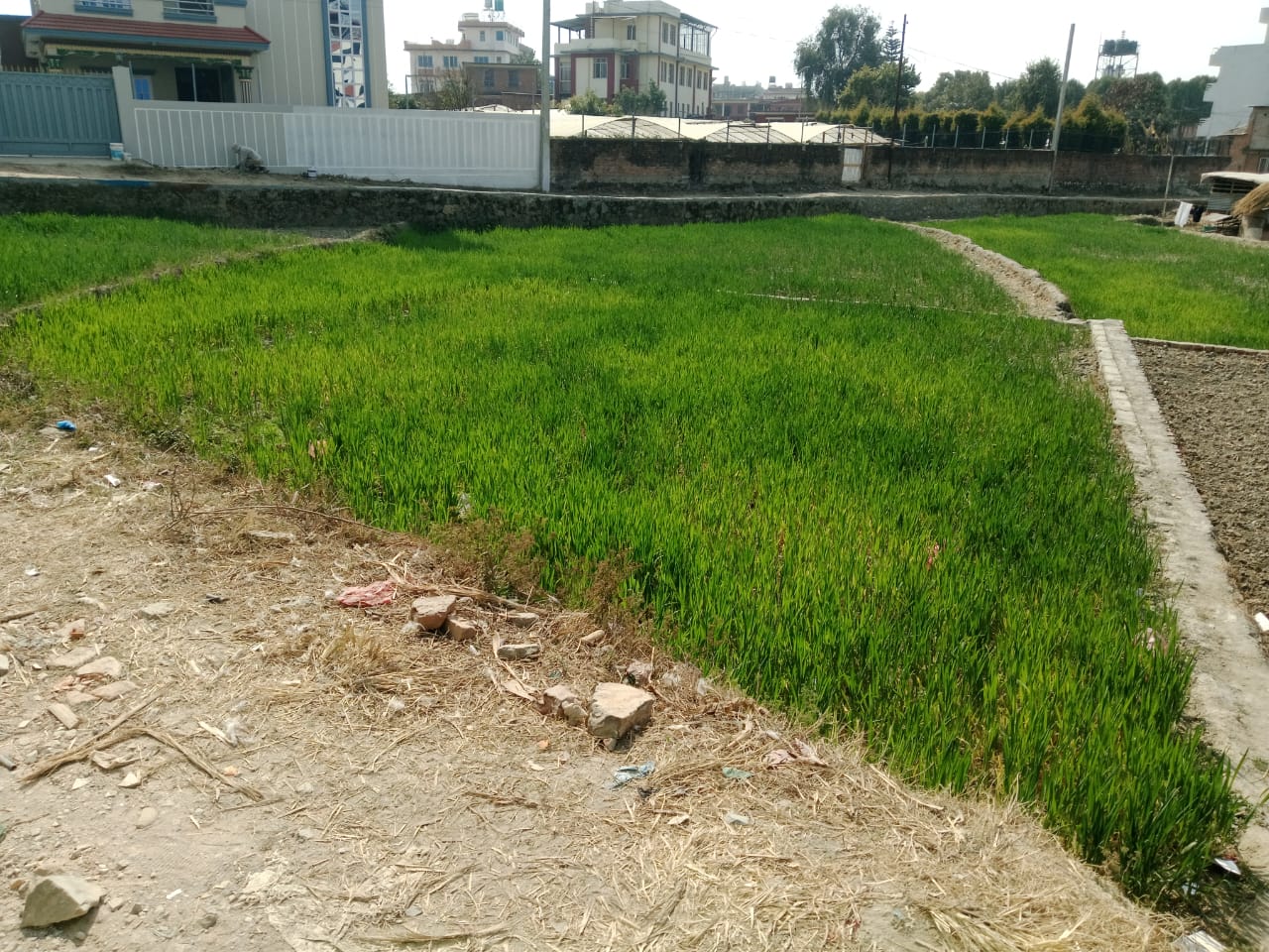Picture of Mahalaxmi Municipality, Bagmati
